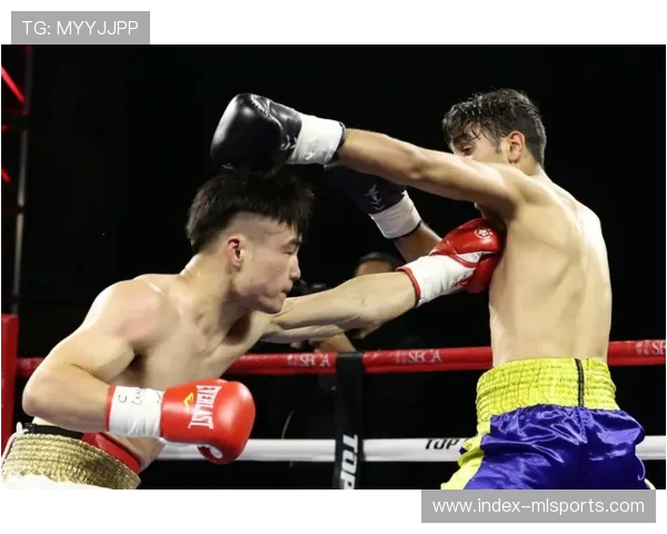 老将李同辉的坚持：从腾辉杯看中国职业拳手的生存现状